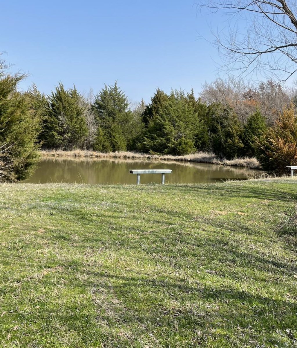 Pond